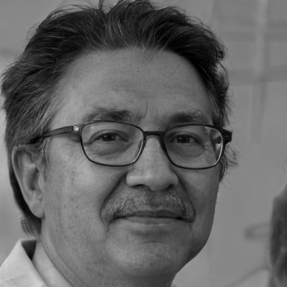 Эксперт по развитию критического мышления